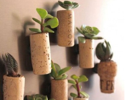 Décor Tip: : Miniature Pot Plants