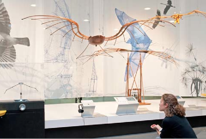 Ausstellungstipp München | Sonderausstellung Leonardo da Vinci: Vorbild Natur - Zeichnungen und Modelle