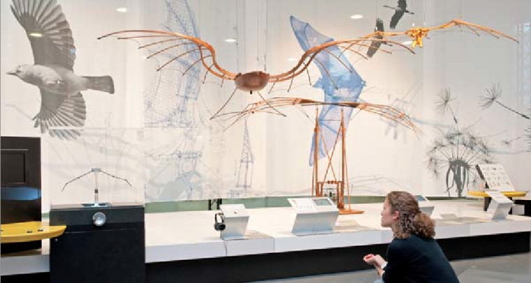 Ausstellungstipp München | Sonderausstellung Leonardo da Vinci: Vorbild Natur - Zeichnungen und Modelle