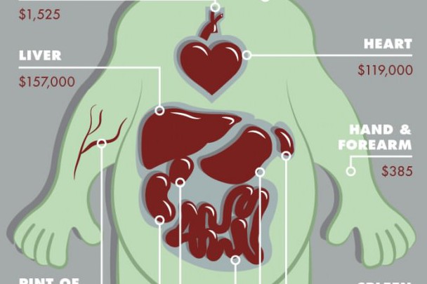 What's the value of your body? The modern trade of organs