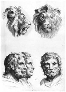 similarities_head_lion_man_li_hi