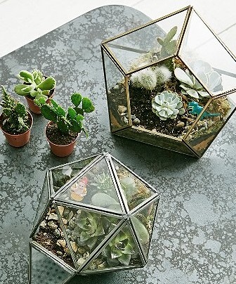 Einrichtungstipp: Urban Outfitters Diamantenförmiger Terrarium-Blumentopf
