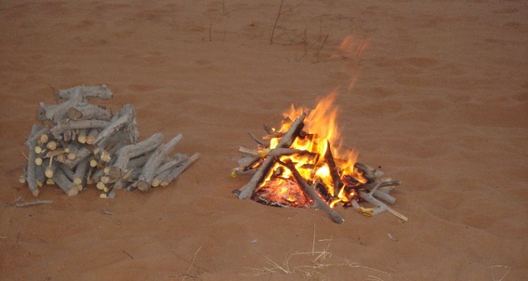 How to Survive: Ein Feuer machen ohne Feuerzeug: Teil 1