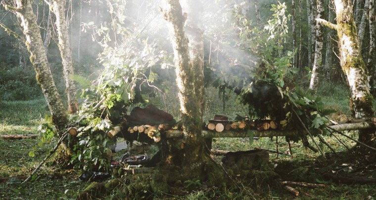 How to Survive: Eine Hütte im Wald bauen
