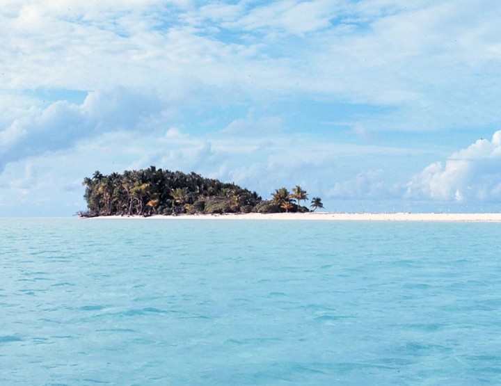 How to Survive: Überleben auf einer einsamen Insel