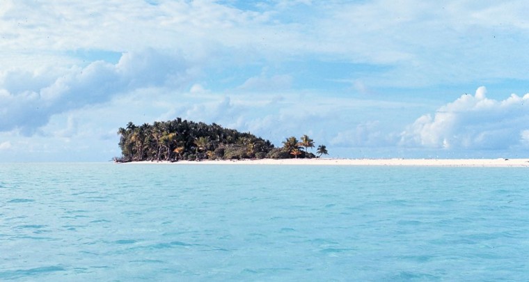 How to Survive: Survival on a Deserted Island