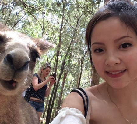 The Sydney Tour – Lovely Kangaroos @ Morisset Park