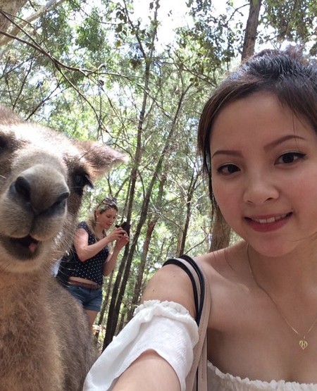 The Sydney Tour – Lovely Kangaroos @ Morisset Park