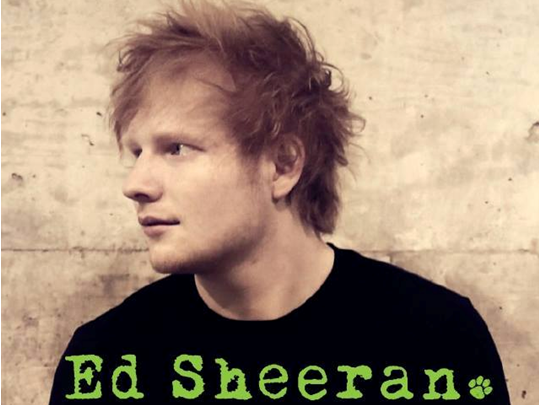Warum Ed Sheeran wohlmöglich der süßeste Promi aller Zeiten ist  