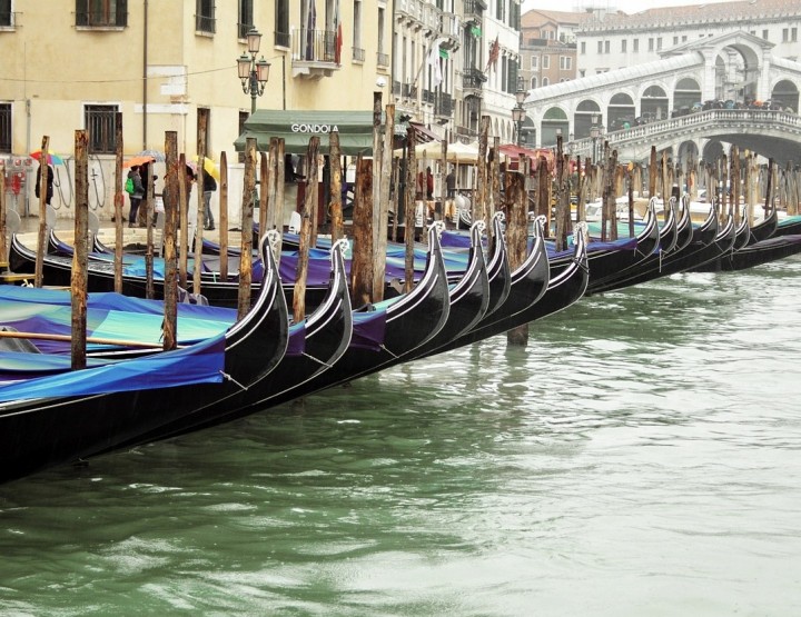 City Life Venedig: Regata Storica 2015
