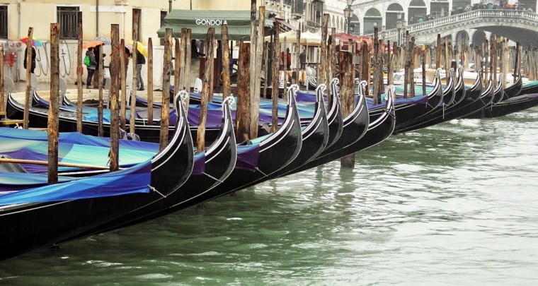 City Life Venedig: Regata Storica 2015