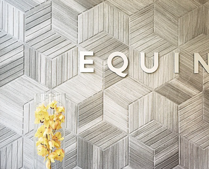 Equinox - one of the most expensive luxury sport studios in the world