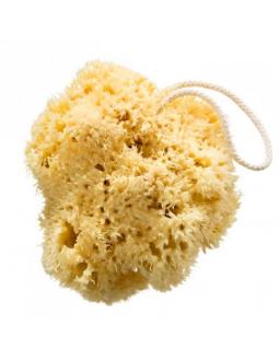 Natural bath sponge by Croll & Denecke