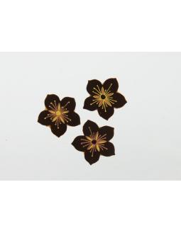 dark chocolate decor flowers