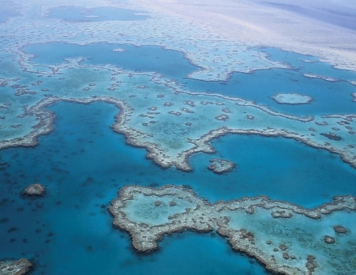 A natural world wonder on the verge of breaking – The Great Barrier Reef