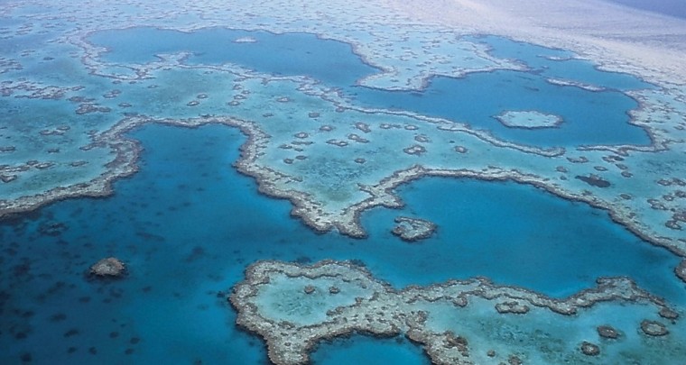 Bedrohtes Paradies - Das Great Barrier Reef