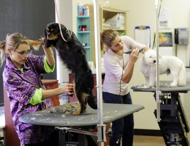 Beautysalon für Hunde