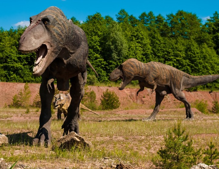 Dinosaurier Art: The greatest Paleoart