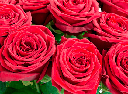 Valentinstagsblumen von Bloomydays, die jedes Herz erobern