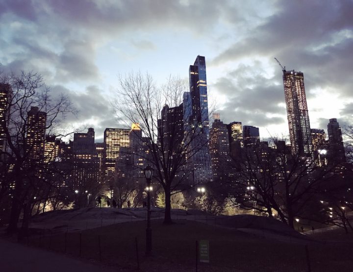 Der Central Park - so ganz anders als erwartet