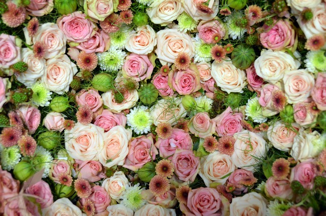blutenmeer-pink-rose-romantic-158697