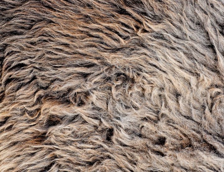 Fake Fur und Veganismus - Ein Konflikt?
