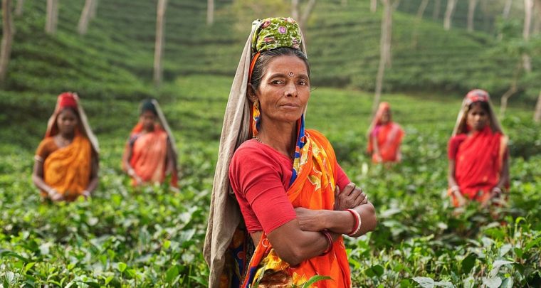 Indische Frauen auf dem Weg zur Emanzipation