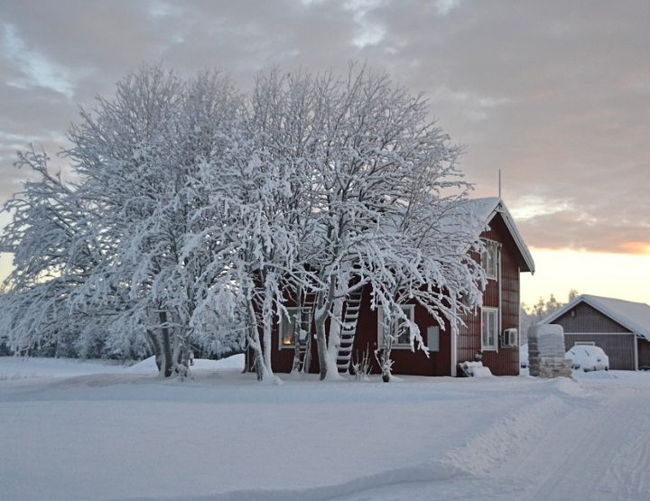 Schweden, das Winterwunderland