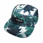nlc_palms_cap_1